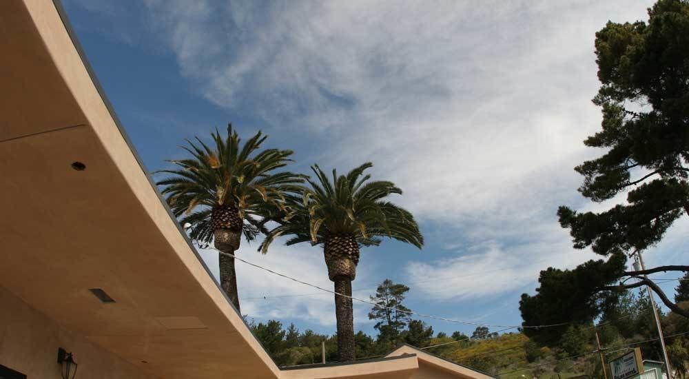 Cambria Palms Motel Eksteriør billede