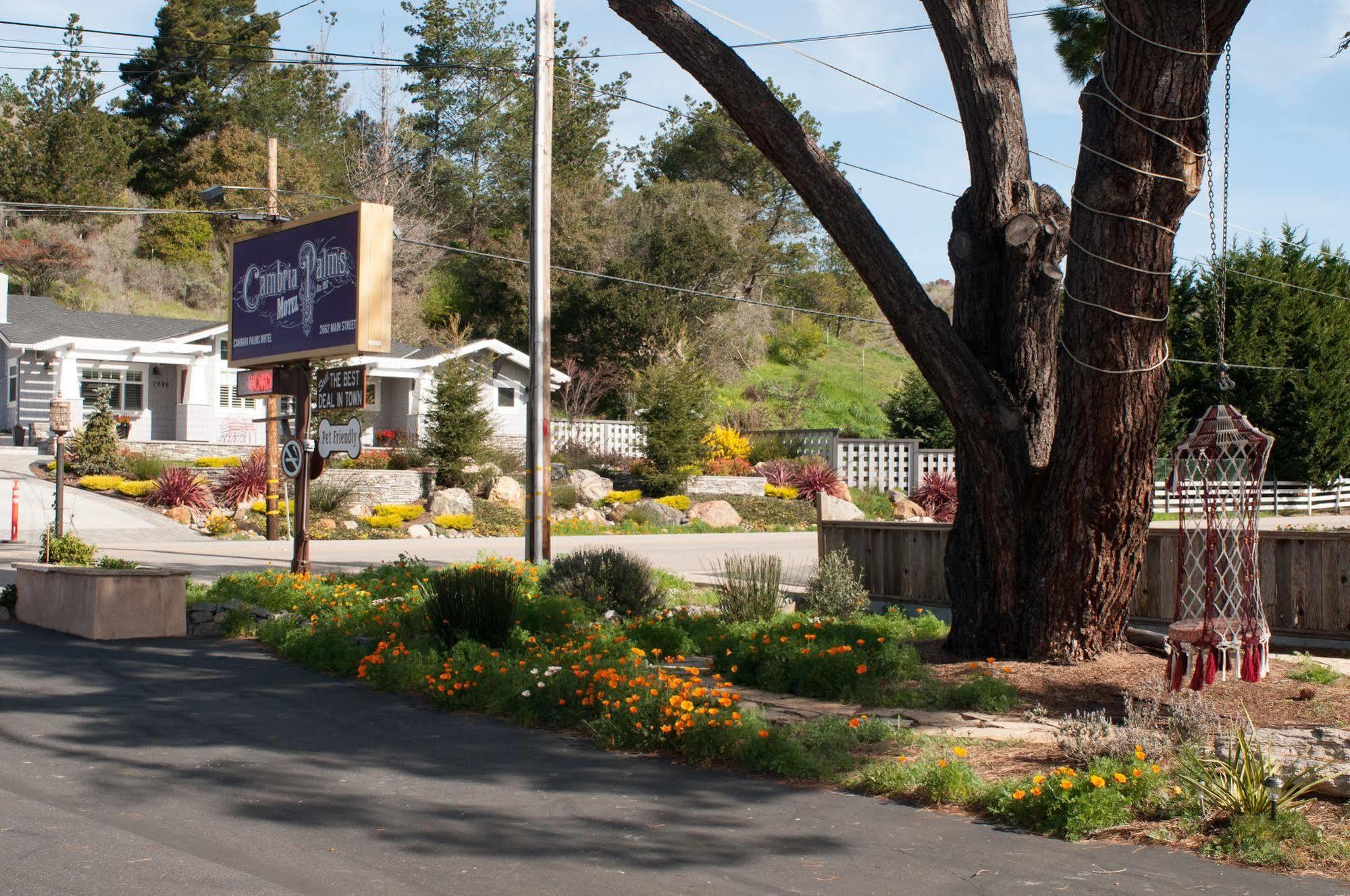 Cambria Palms Motel Eksteriør billede